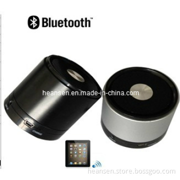 Portable Mini Speaker (ES-E817)